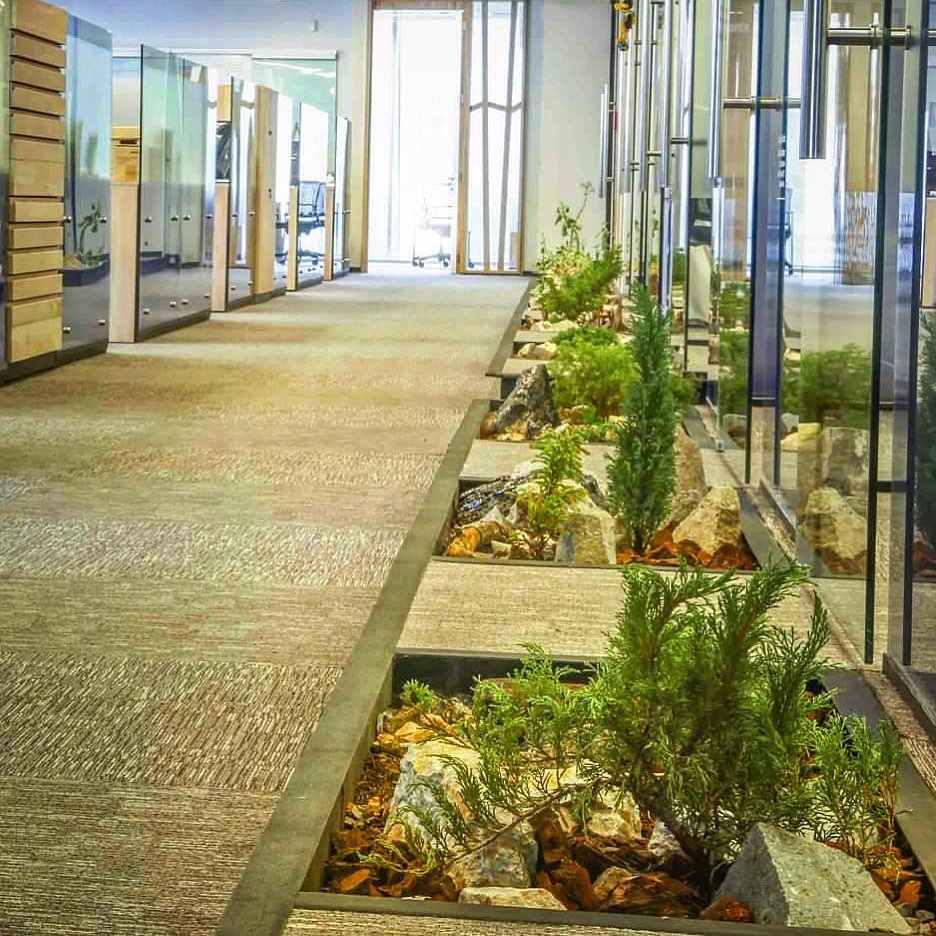 Paisajismo ornamental interior y exterior en oficinas y espacios habitables