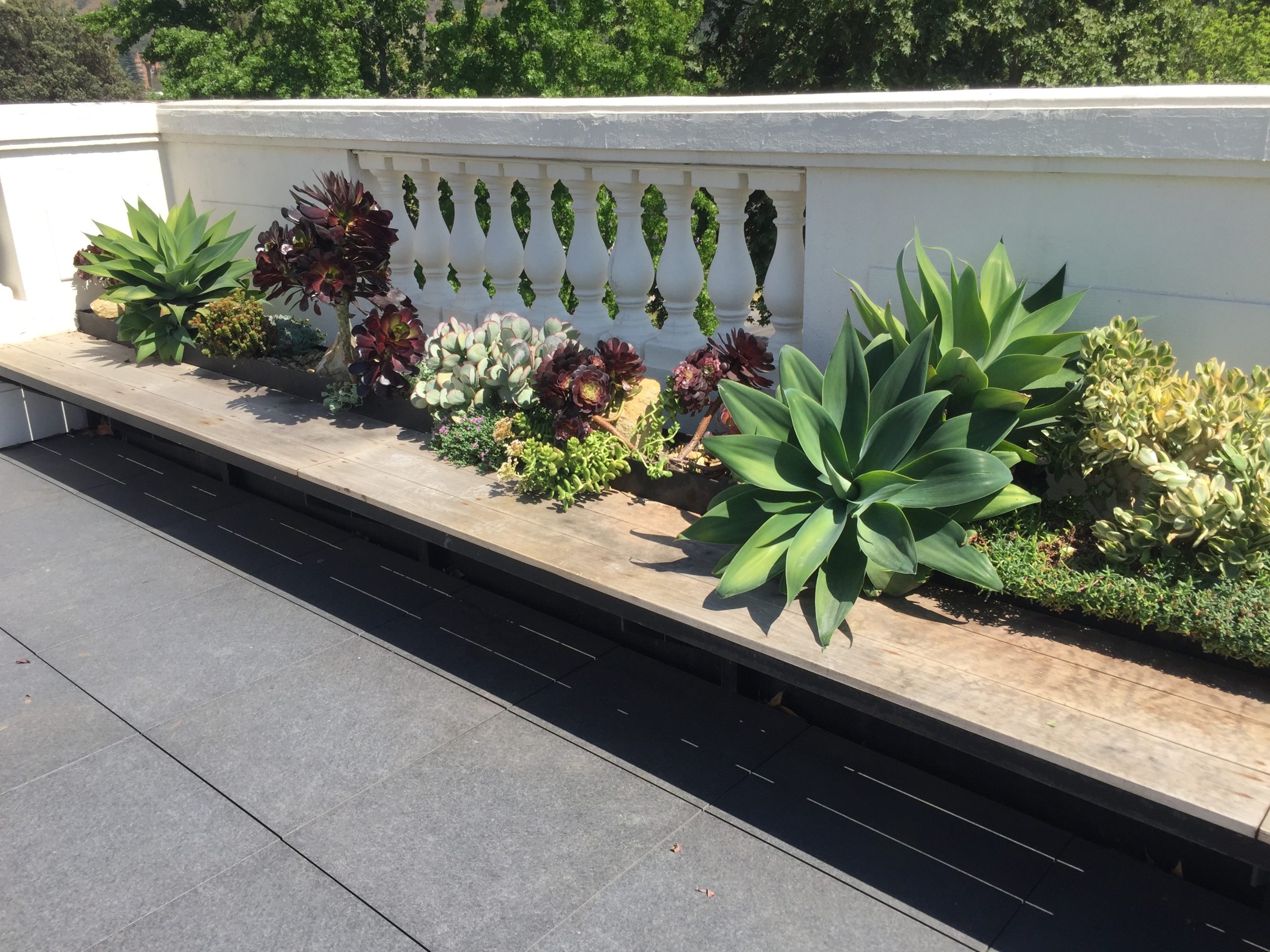 Proyecto ornamental de Jardín Seco en Chile