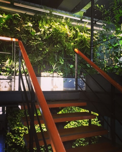 Jardines Gestión Ambiental Consultores GAC