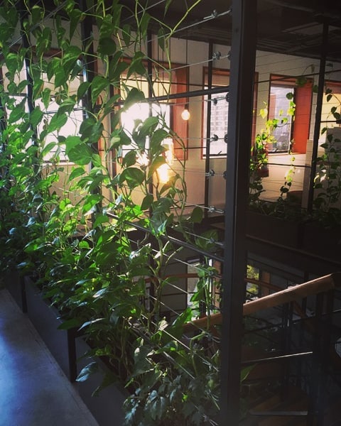 Jardines Gestión Ambiental Consultores GAC