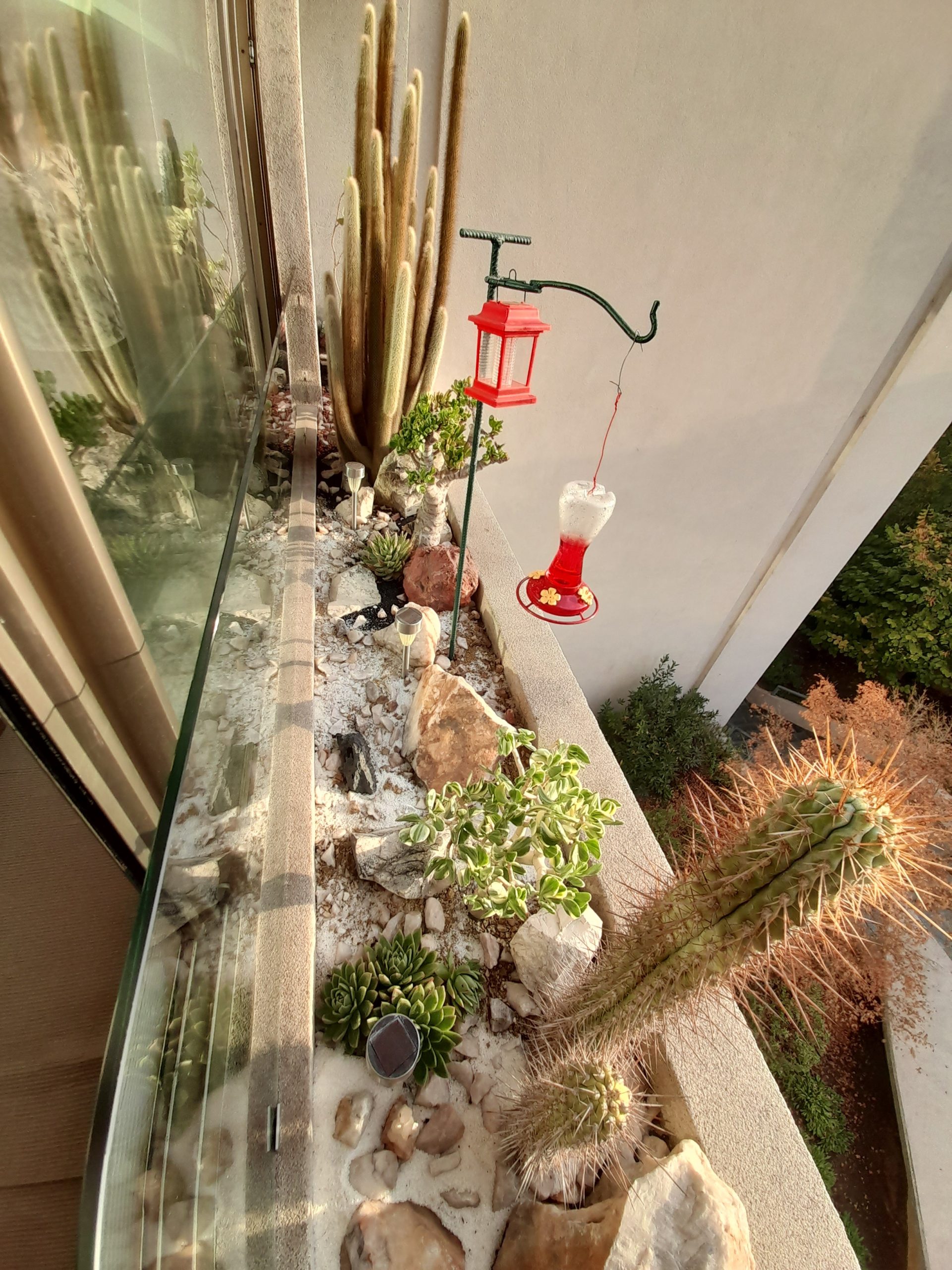 Jardines Departamento Wurman Lo Barnechea