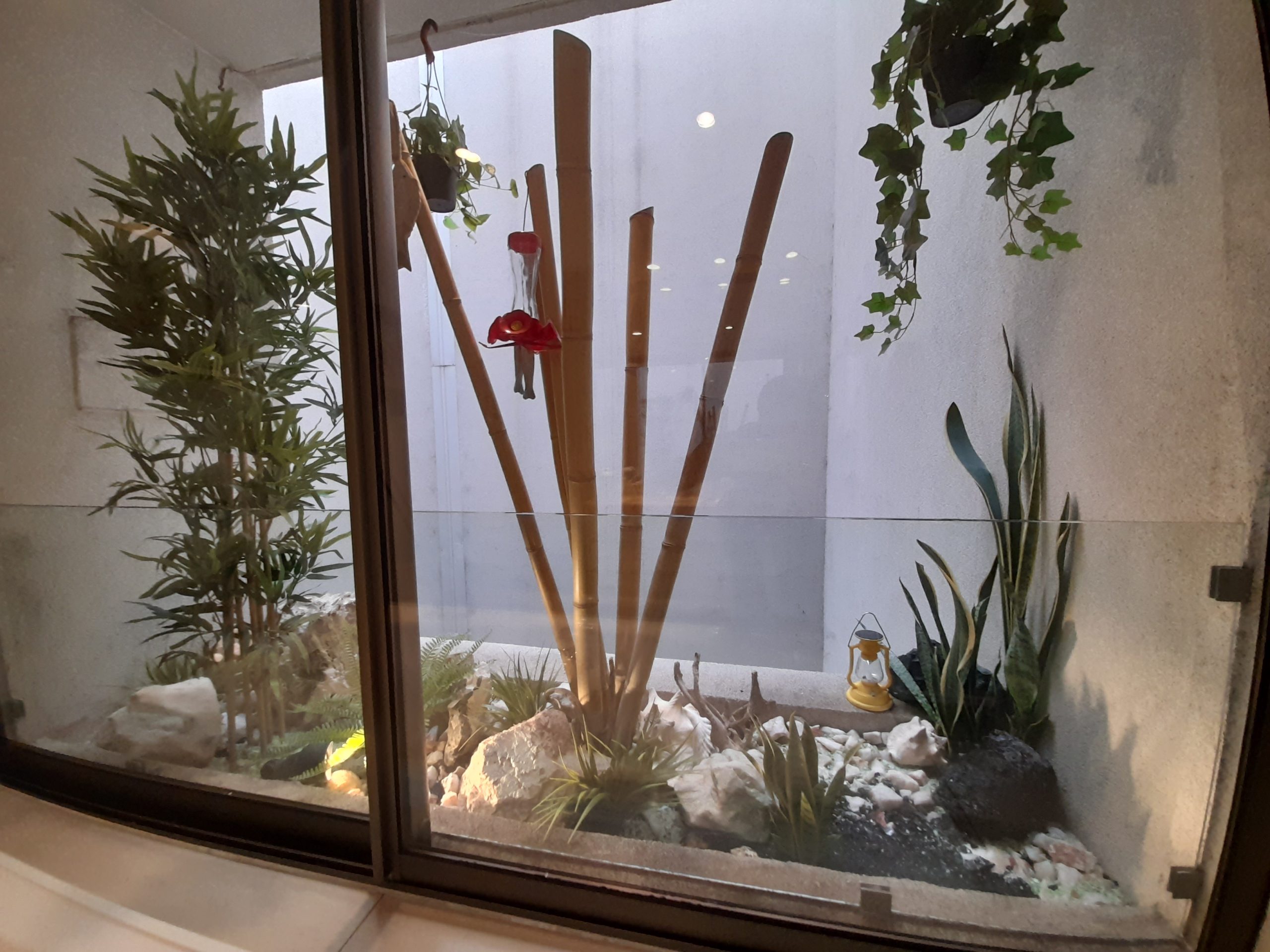 Jardines Departamento Wurman Lo Barnechea