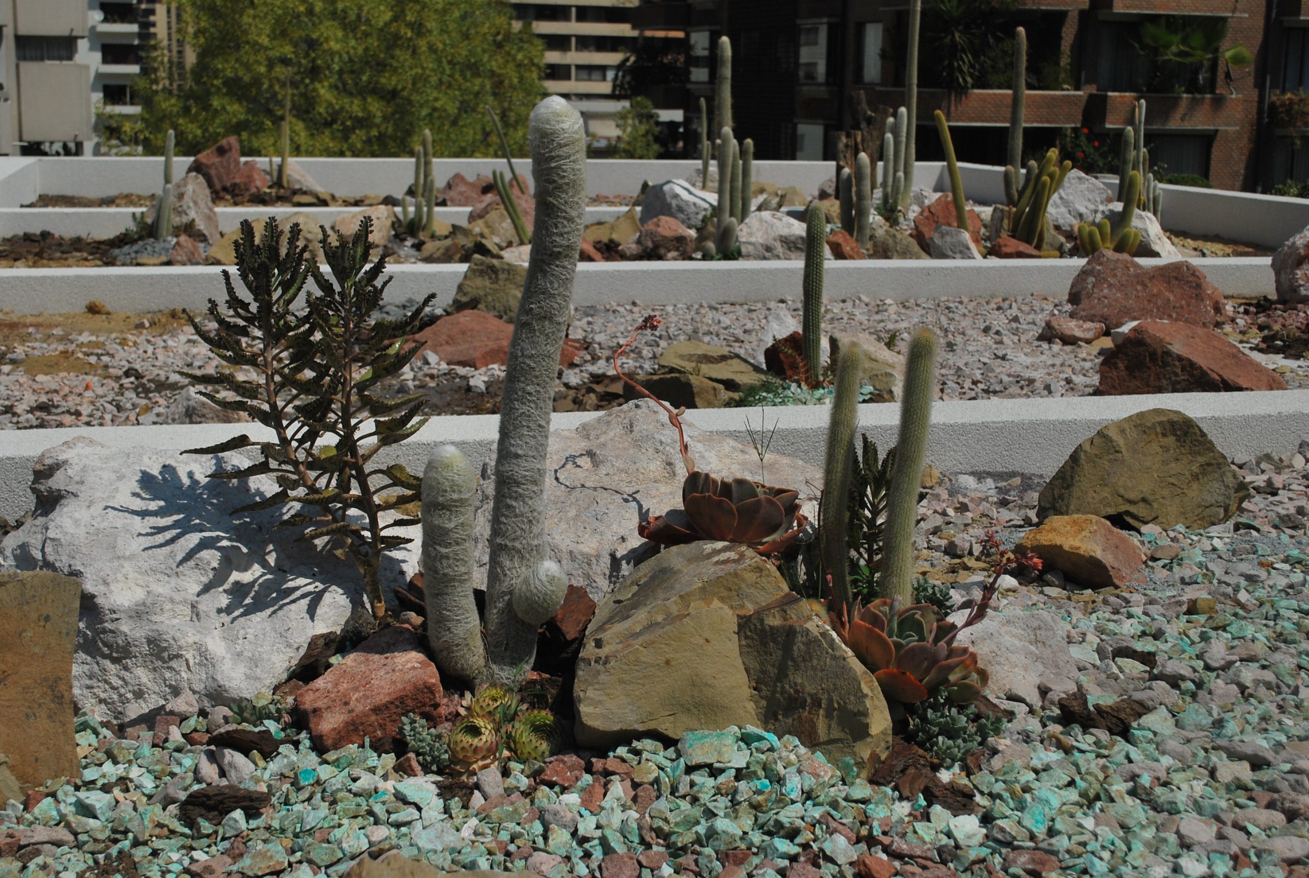 Proyecto Parque San Luis