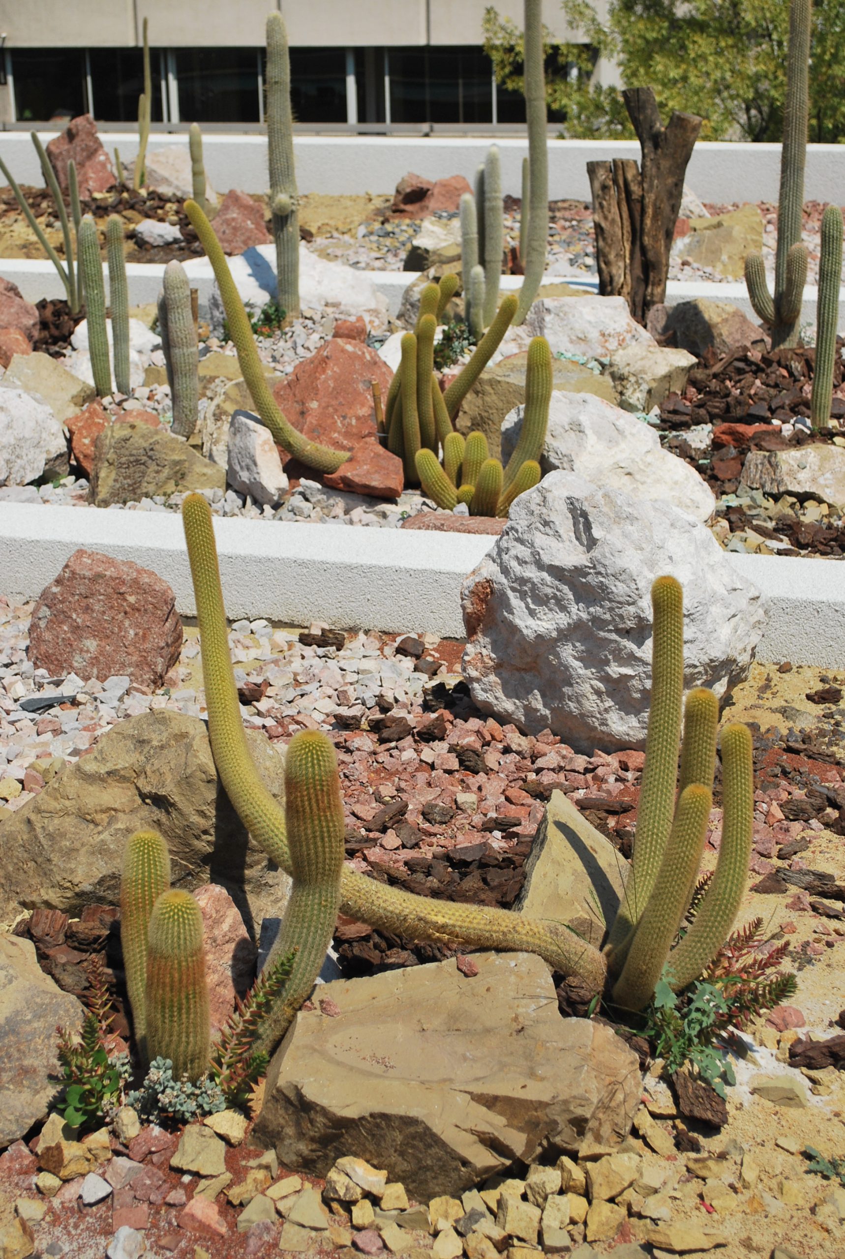 Proyecto Parque San Luis