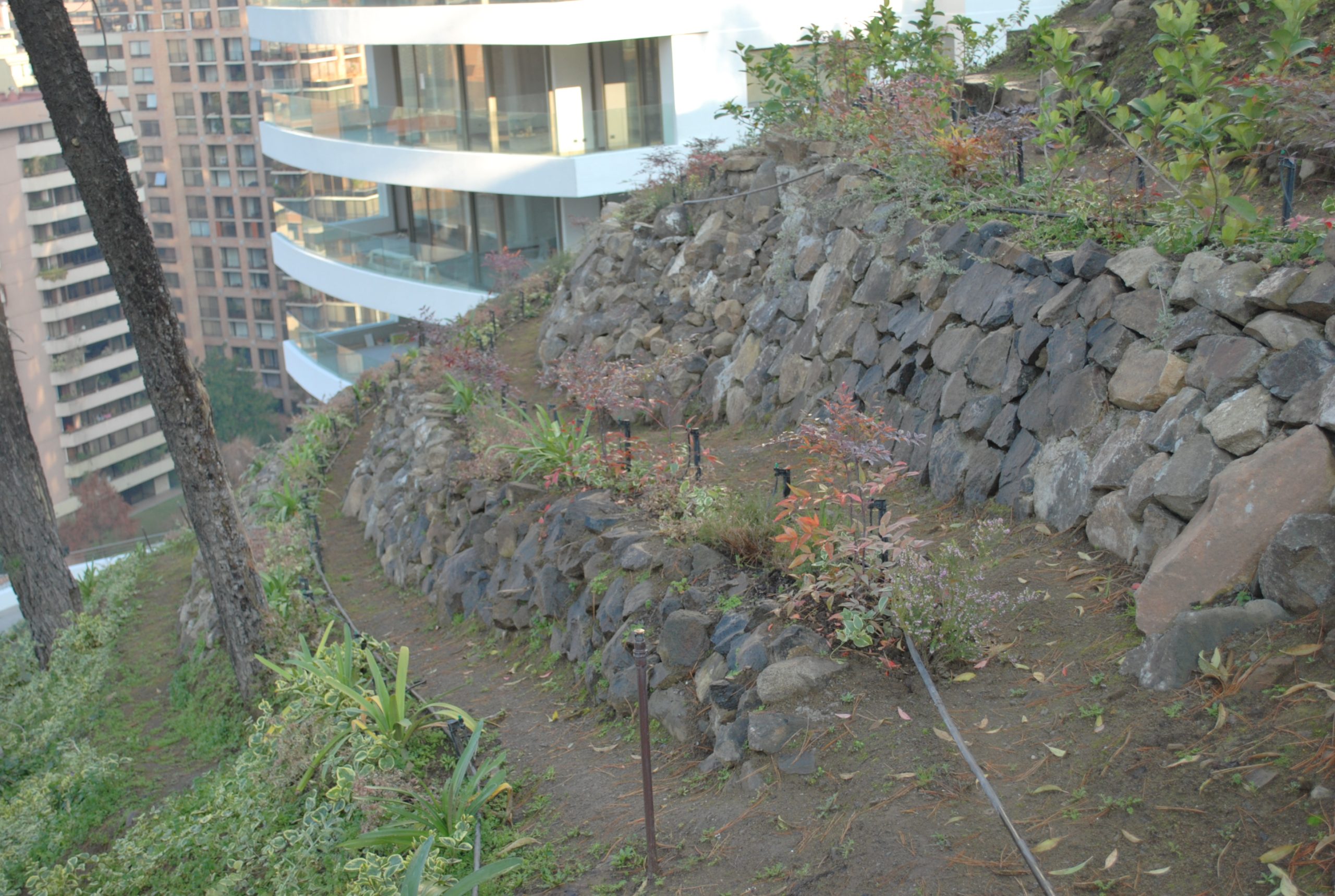 Proyecto Parque San Luis
