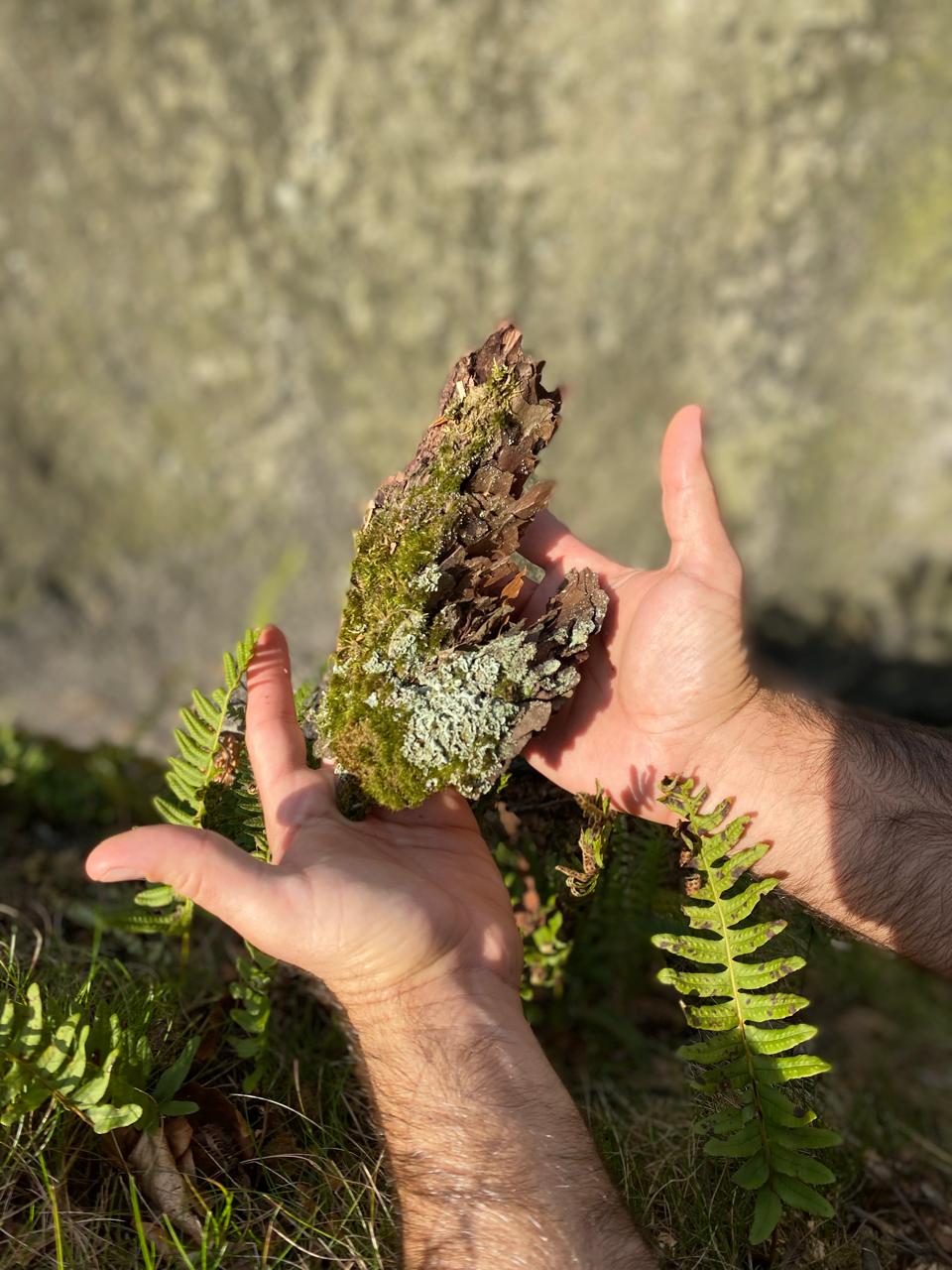 Fernando Heymann sosteniendo una planta